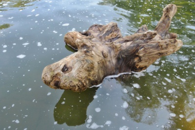 Kuk ........já se neutopím