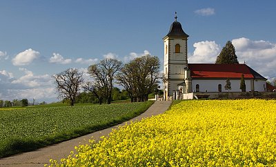 Květen - Marta Nosková_Kostelík ve žluté.jpg