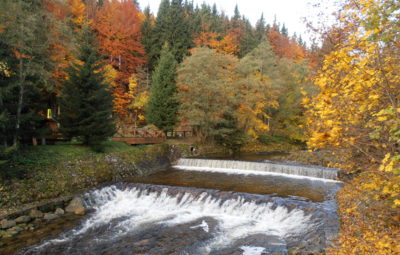 Labe ve Špindlerově Mlýně