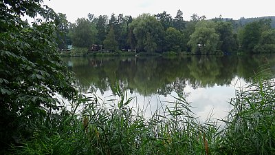 Letní Pávovský rybník...