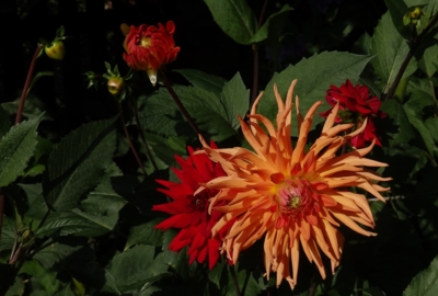 Léto končí - přichází podzim..