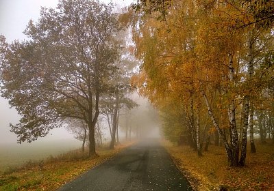 Lubomír Měkota - Zamlženým podzimem.jpg