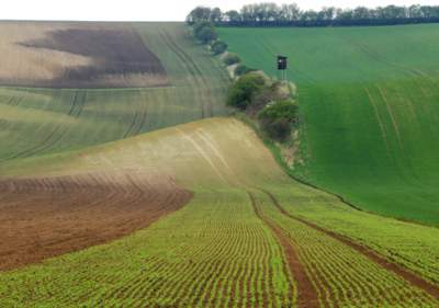 Probouzení přírody