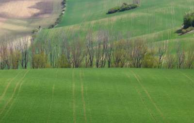 Velikonoční vlnobití