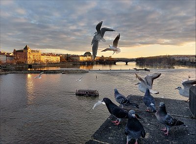 Vltava