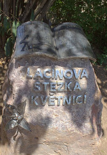 Lacinova cesta Květnicí