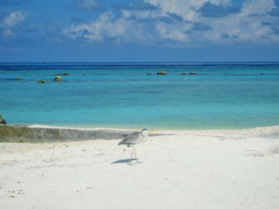 Písečno-mořsko-oblaková duha láká....