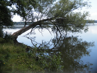 Jižní Čechy - země zamyšlená