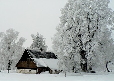 Marie Měchurová_Zimní idylka.jpg