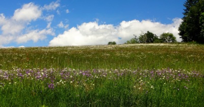 Máte rádi proužky? Tentokrát ze Soláně