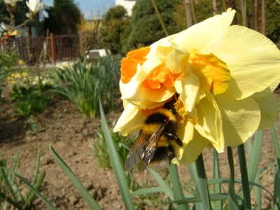 Mě zima až tak nevadí,,,