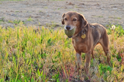 Bez balónku ani ránu