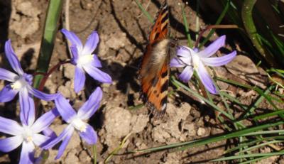 I na Ladoňce se dá napást