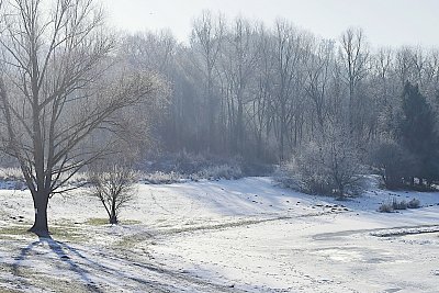 Mrazivý den