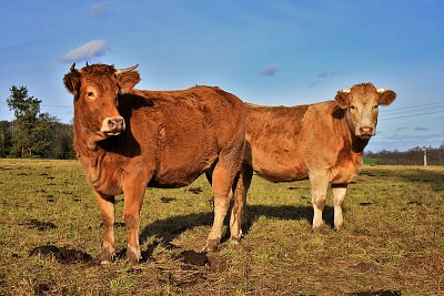 Pohoda na sluníčku.