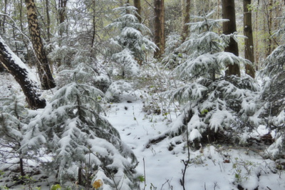 Návrat zimy v plné parádě
