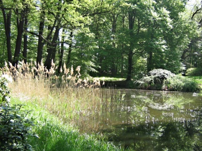 Nedělní odpoledne v Bad Muskau