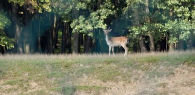 Nenadálé setkání