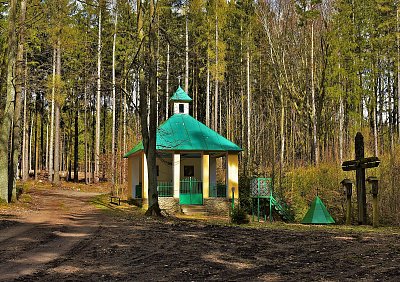 Nezdínská studánka v lese.