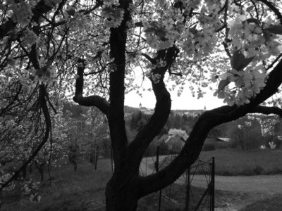 Zakleté Nové Město n.Metují