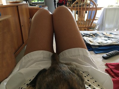 Ranní momentka, vymyslíte název?*