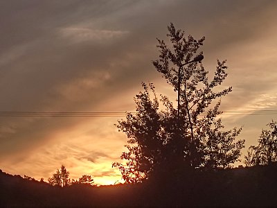 Foto ze startu