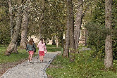 Kam panenky, kam jdete ......