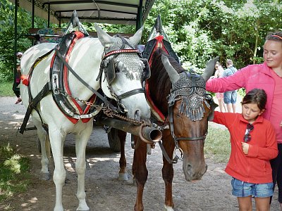 Můžeme si ho pohladit?
