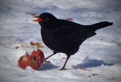 Nikomu nedám ani kousek!!!!!!!!