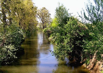 Náhon řeky Moravy