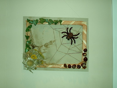 Pavouk pro štěstí...