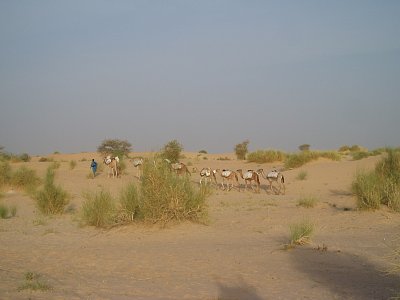 Putování africkým Mali do bájného Timbuktu