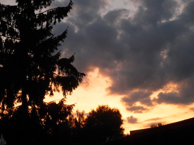 Zítra se k vám zase vrátím!