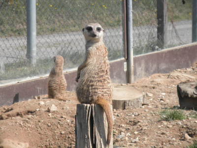 Táborská Zoo