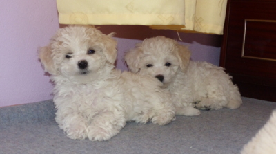 A zase nás fotí.....