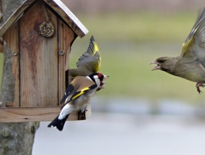 Přizval jsem si posily......