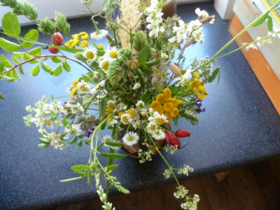 Prostá kytička=velké přání