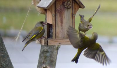 Tady vládnu já!!!!