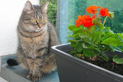 Radost z maličkostí