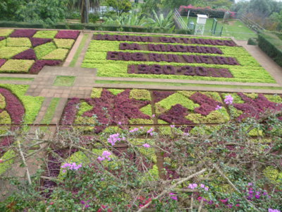 Botanická zahrada - Madeira,únor 2016
