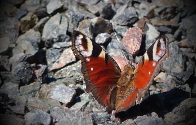 Otakárek na sluníčku
