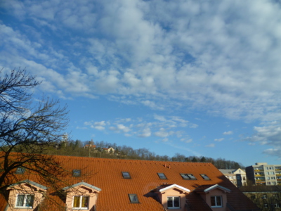 Velikonoční beránci...