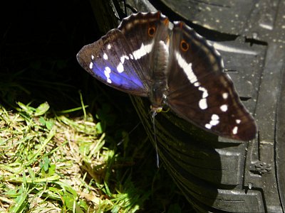 FOTO: Dagmar Tomášková