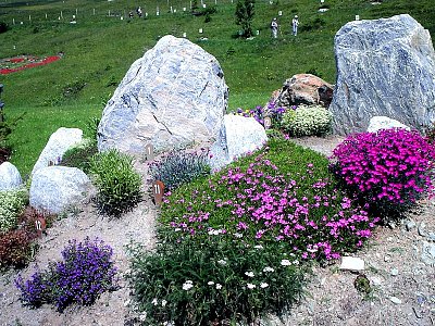 Malá část krásné alpské botanické zahrady *