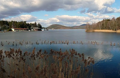 Jezero v zimě