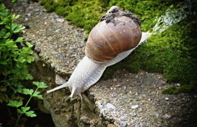 Snad ještě nespadnu, když už jsem se umazal...