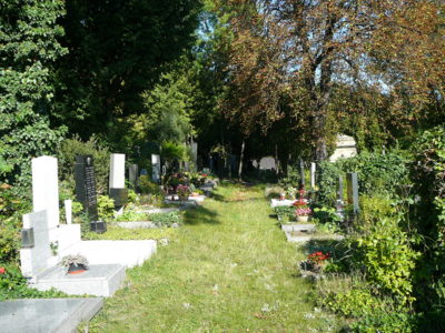 Hřbitov 11