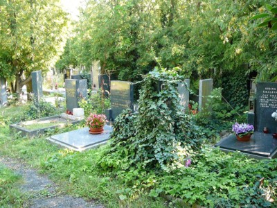 Hřbitov 14