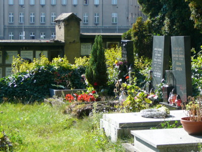Hřbitov 17