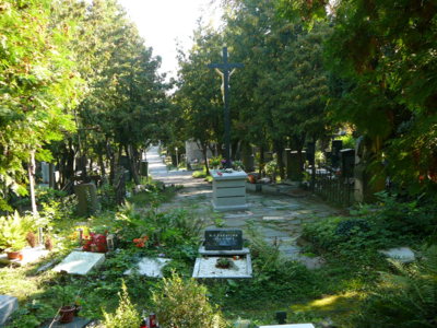 Hřbitov 6